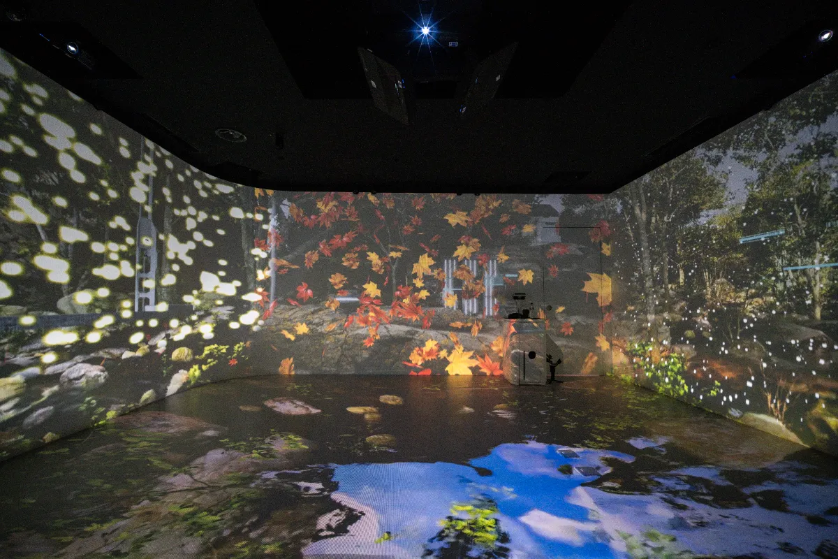 Immersive, Studio & Experience Systems